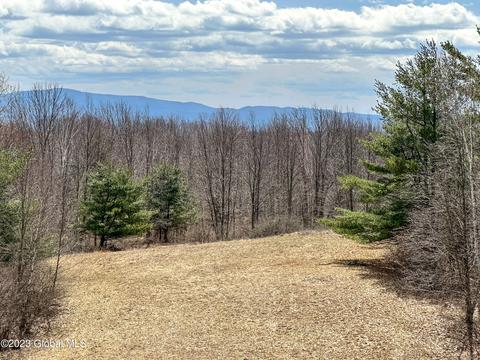 112 Wicks Ln, Argyle, NY 12809 photo 72