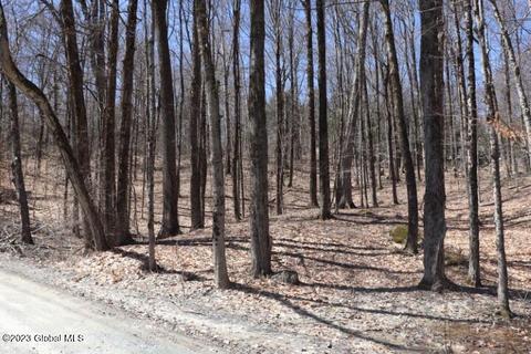 34 North Shore Road # l, Petersburgh, NY 12138