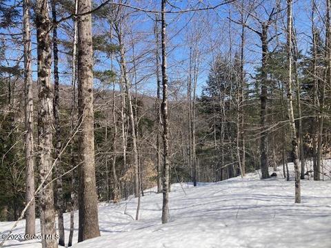 0 North Woods Club Road, Minerva, NY 12851