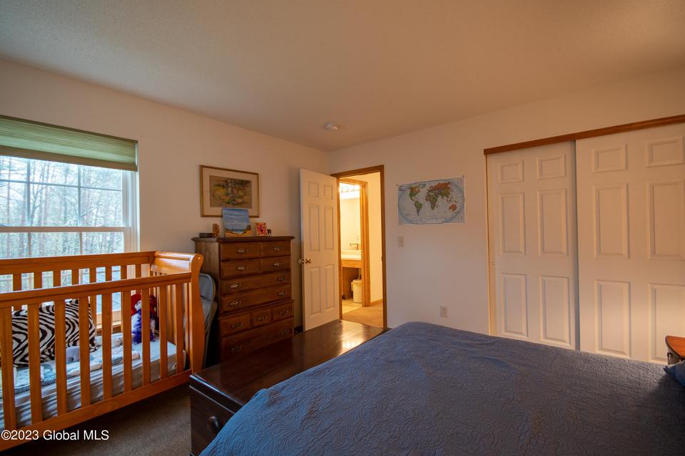  48 Carstead Dr, Slingerlands, NY 12159 photo 41