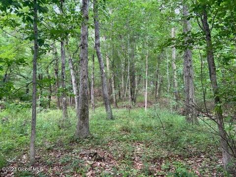 1500-04 County Route 7, Nassau, NY 12123