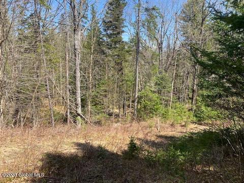 70 Erin Lane, Indian Lake, NY 12842