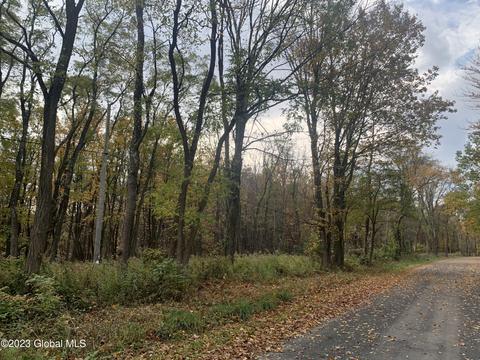 lot1 Clickman Rd, Westerlo, NY 12193