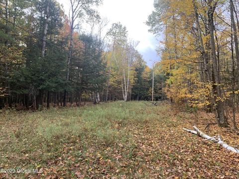 lot3 Clickman Rd, Westerlo, NY 12193