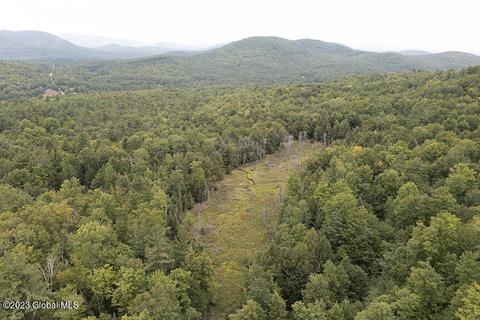 L40 Mountain Road, Thurman, NY 12885