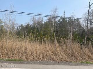 L4 State Highway 10, Caroga Lake, NY 12032