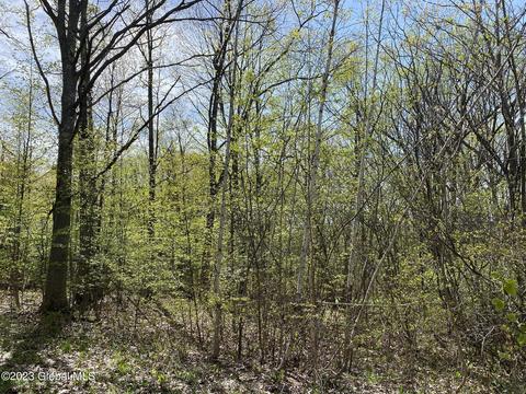 212 New York 30a # l12, Charleston, NY 12072