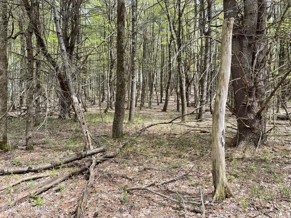 L 3.12 Edwards Road, Wynantskill, NY 12198 photo 5