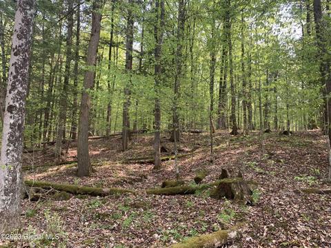 00 Carlisle Rd, Root, NY 12166 photo 3