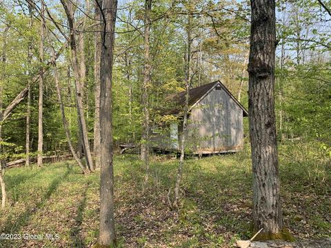 00 Carlisle Rd, Root, NY 12166 photo 4