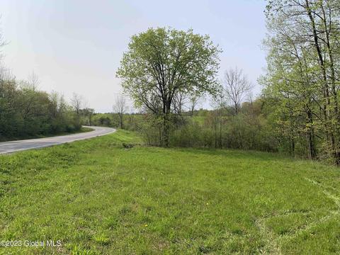 00 Carlisle Rd, Root, NY 12166 photo 11