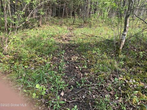 00 Carlisle Rd, Root, NY 12166 photo 17