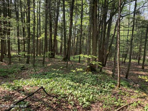 00 Carlisle Rd, Root, NY 12166 photo 14