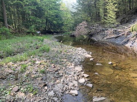 00 Carlisle Rd, Root, NY 12166 photo 8