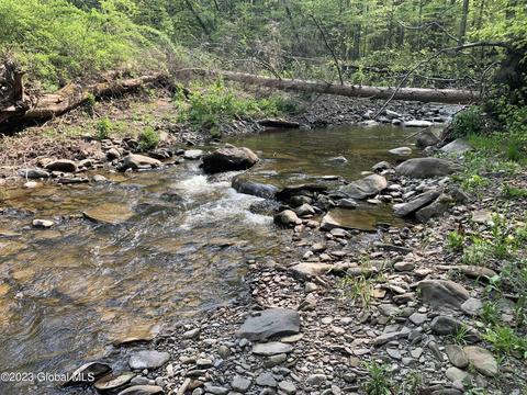 00 Carlisle Rd, Root, NY 12166 photo 28