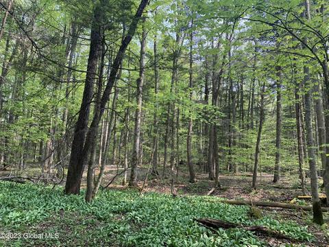 00 Carlisle Rd, Root, NY 12166 photo 13