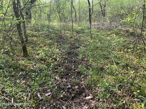 00 Carlisle Rd, Root, NY 12166 photo 15