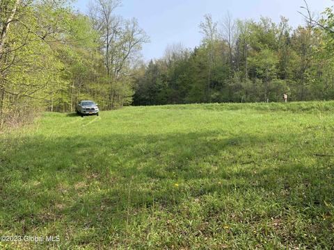 00 Carlisle Rd, Root, NY 12166 photo 12