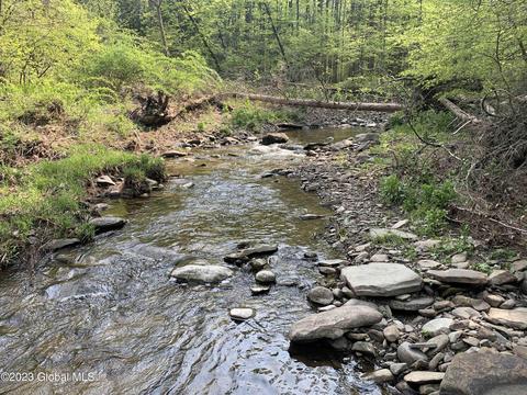 00 Carlisle Rd, Root, NY 12166 photo 25
