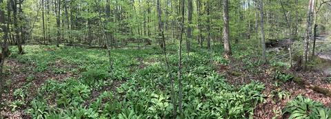 00 Carlisle Rd, Root, NY 12166 photo 24