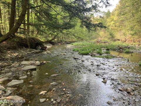 00 Carlisle Rd, Root, NY 12166 photo 7