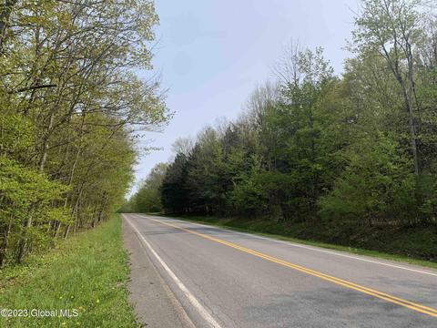 00 Carlisle Rd, Root, NY 12166 photo 31