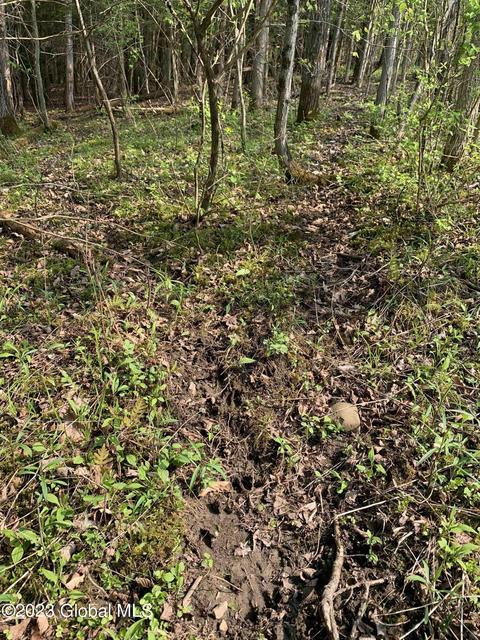 00 Carlisle Rd, Root, NY 12166 photo 16