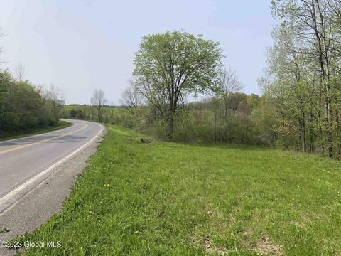 00 Carlisle Rd, Root, NY 12166 photo 10