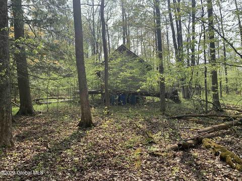 00 Carlisle Rd, Root, NY 12166 photo 22