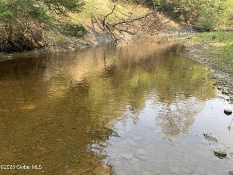 00 Carlisle Rd, Root, NY 12166 photo 5