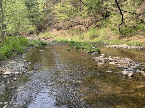 00 Carlisle Rd, Root, NY 12166 photo 6