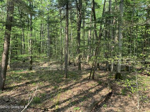 00 Carlisle Rd, Root, NY 12166 photo 23