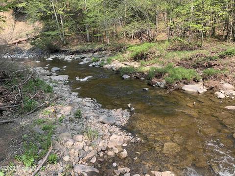00 Carlisle Rd, Root, NY 12166 photo 27