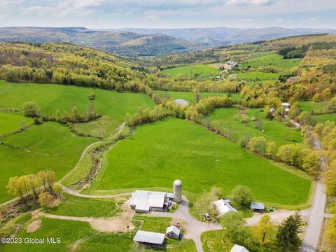 585 E Hill Rd, Middleburgh, NY 12122