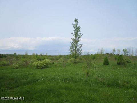 848 Brand Rd, Sprakers, NY 12166 photo 33