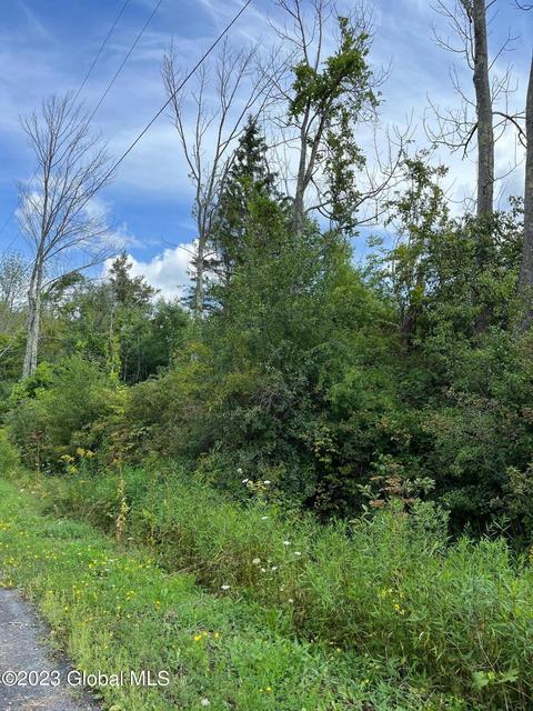 27 Olmo Lane, Rensselaerville, NY 12147