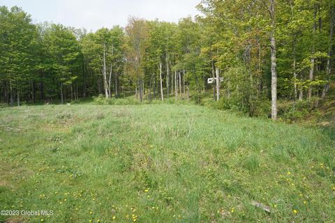 89 Thunder Hill Rd, Rensselaerville, NY 12147