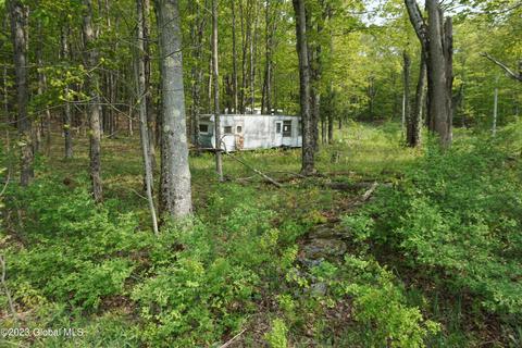 85 Thunder Hill Rd, Rensselaerville, NY 12147