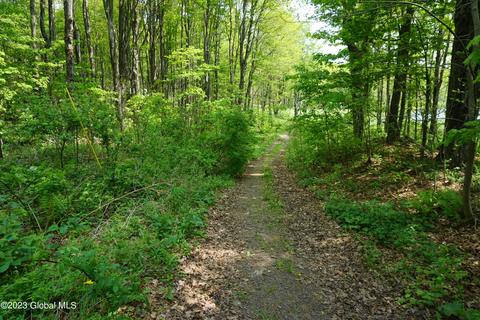 84 Thunder Hill Rd, Rensselaerville, NY 12147