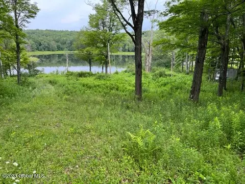 61 Thunder Hill Rd, Rensselaerville, NY 12147