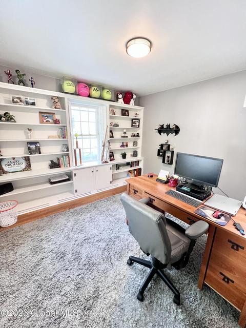 1316 Mcclellan St, Schenectady, NY 12309 photo 30