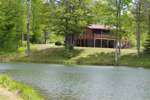 25 Filkins Hill Rd, East Berne, NY 12059
