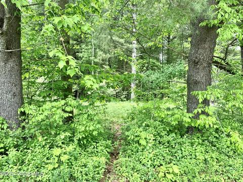 L11 Maple Ave Ext, Greenville, NY 12083