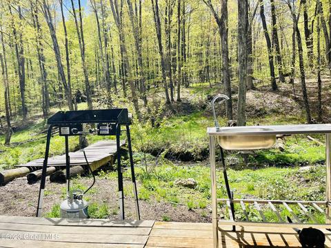 168 Middle Rd, Austerlitz, NY 12017 photo 9