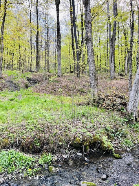 168 Middle Rd, Austerlitz, NY 12017 photo 20