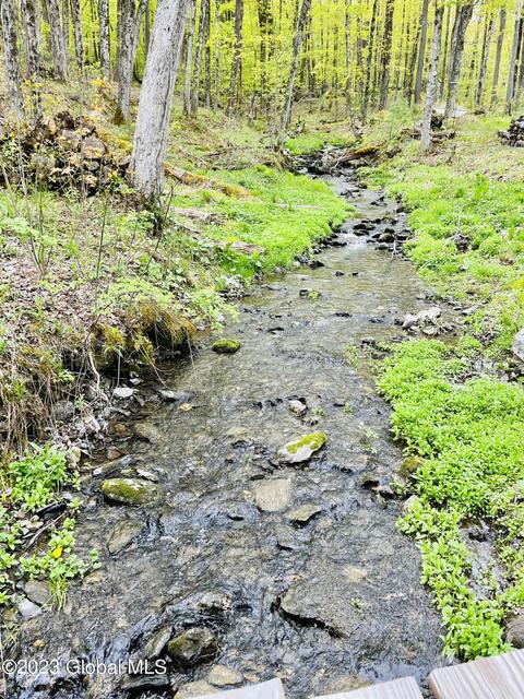 168 Middle Rd, Austerlitz, NY 12017 photo 19
