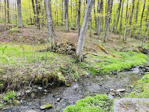 168 Middle Rd, Austerlitz, NY 12017 photo 21