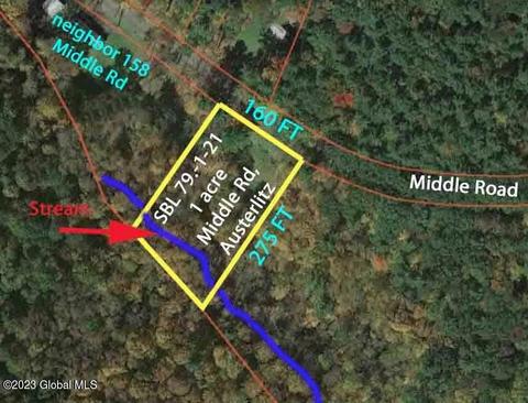 168 Middle Rd, Austerlitz, NY 12017 photo 23