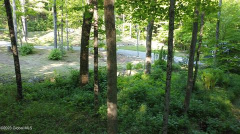 168 Middle Rd, Austerlitz, NY 12017 photo 28