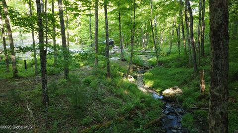 168 Middle Rd, Austerlitz, NY 12017 photo 29
